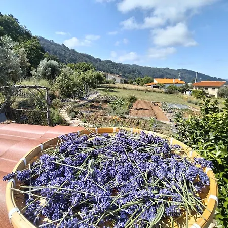 Casa 99 In Barbens, *