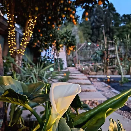 Feriehus Casa 99 In Barbens, Miranda do Corvo