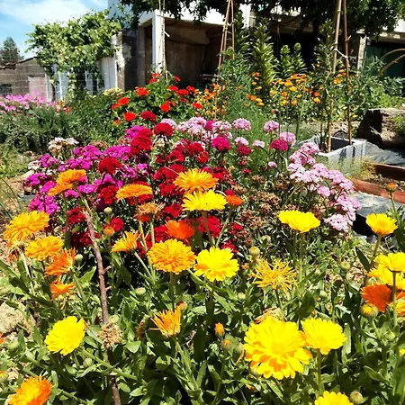 Casa 99 In Barbens, *