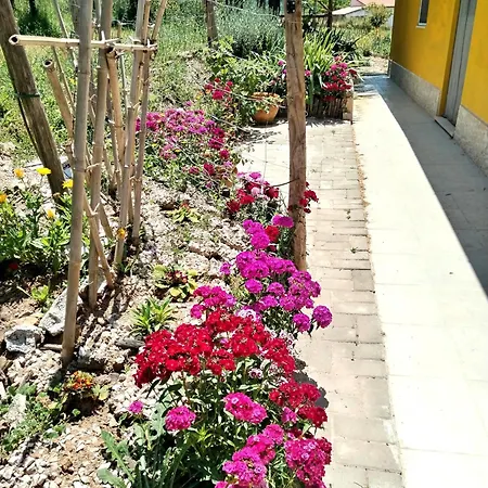 Casa 99 In Barbens, Feriehus Miranda do Corvo