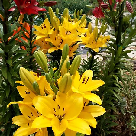 Casa 99 In Barbens, Miranda do Corvo