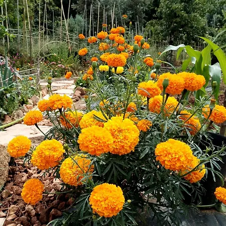 Casa 99 In Barbéns, Hébergement de vacances *