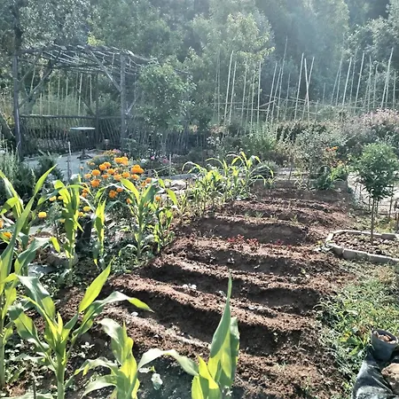 Casa 99 In Barbens, *