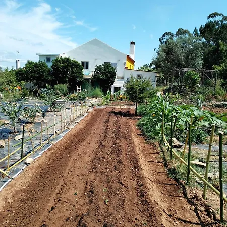 Casa 99 In Barbens, Feriehus