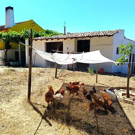 In Barbens, - Casa 99 Vakantiehuis *