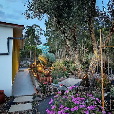 Vakantiehuis In Barbens, - Casa 99