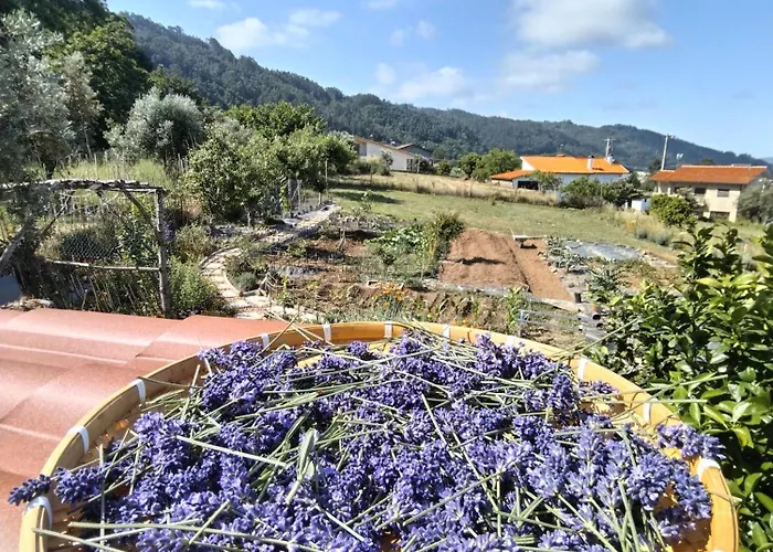 Casa 99 In Barbéns, *