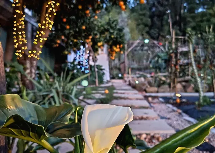 Ferienhaus Casa 99 In Barbens, Miranda do Corvo