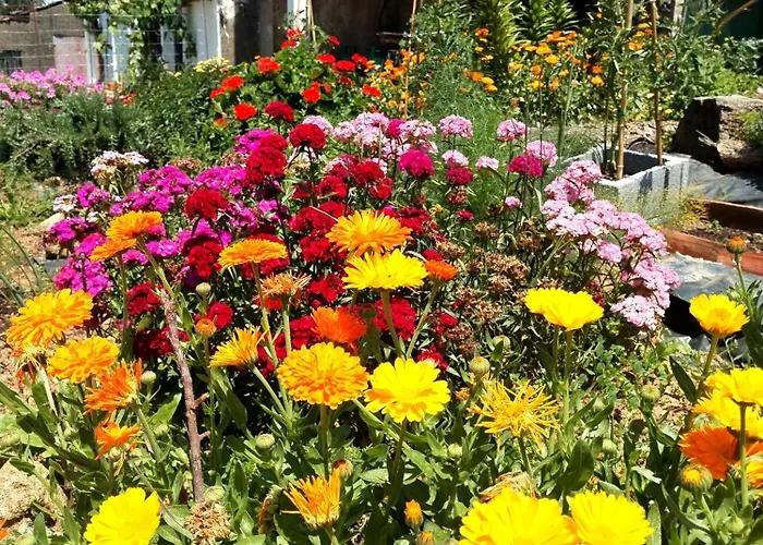 Casa 99 In Barbéns, *