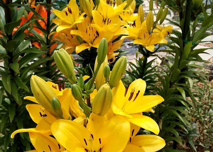 Casa 99 In Barbéns, Miranda do Corvo