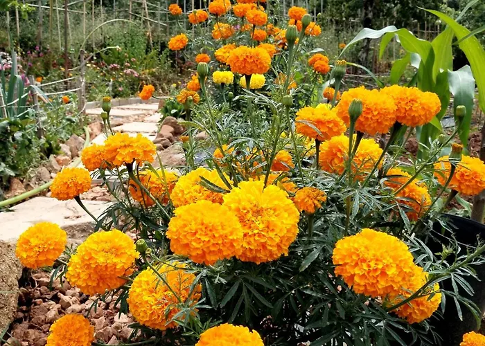 Casa 99 In Barbens, Ferienhaus *