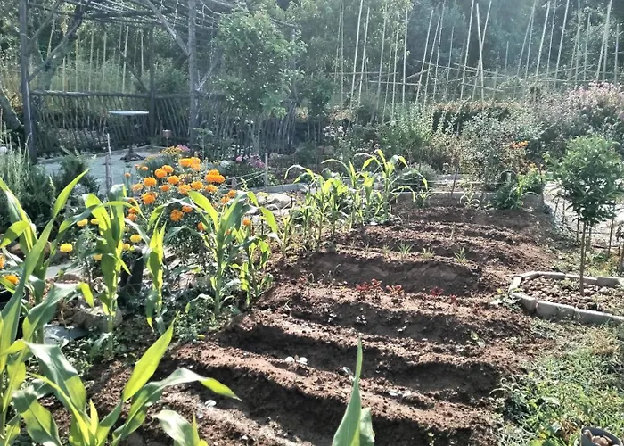 Casa 99 In Barbens, *