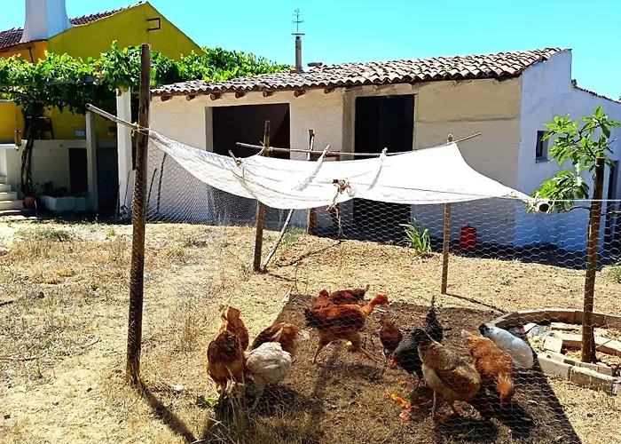 Casa 99 In Barbéns, Hébergement de vacances *